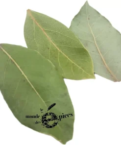 Laurier en feuilles